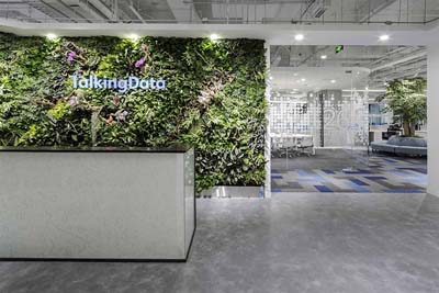 腾云天下 腾云天下